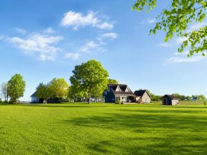 a large grassy field with houses in the background at Gedvilų sodyba in Kelmė +5 photos