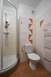 a bathroom with a toilet and a tub and a shower at Hotel Popel in Stachy
