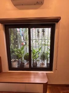 a window with a bunch of potted plants in it at Gasu home in Ninh Binh +13 photos
