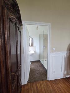 a bathroom with a mirror and a walk in shower at Domaine de Lasserre in Lupiac