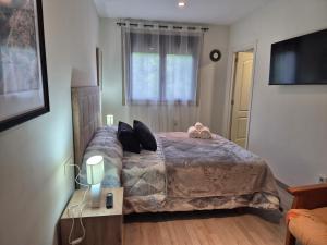 ein Schlafzimmer mit einem großen Bett und einem Fernseher in der Unterkunft Checoira in Ourense
