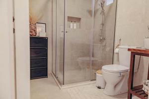 a bathroom with a shower with a toilet and a sink at Museum Draginë-Guest House in Sukobin +24 photos