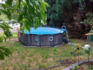 a hot tub in a yard with a tree at Haus Bergrose in Busenborn