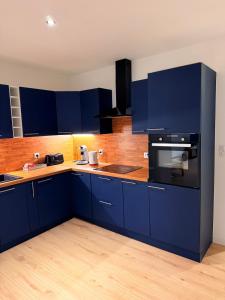 a kitchen with blue cabinets and black appliances at Le Commerce-Gare-Centre-Ville in Montbéliard