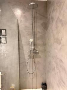 a shower with a shower head in a bathroom at Le Commerce-Gare-Centre-Ville in Montbéliard