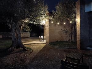 a building with lights on the side of it at night at Home among the olive trees in Tivoli +5 photos