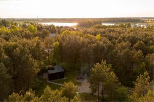 an aerial view of a house in the woods at w lesie in Skrwilno