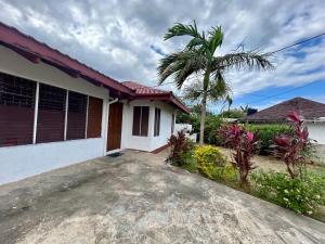 a house with a palm tree in front of it at Luxury Oasis Villa in Silver Sands