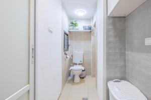 a small bathroom with a toilet and a sink at Masada34a City Center in Haifa +23 photos