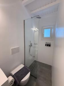 a bathroom with a toilet and a glass shower at Green Dream Tinos in Tinos +114 photos