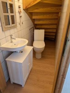 a bathroom with a toilet and a sink at Ferienhaus Wallkieker in Boizenburg