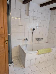 a bathroom with a bath tub with a shower at Ferienhaus Wallkieker in Boizenburg +9 photos