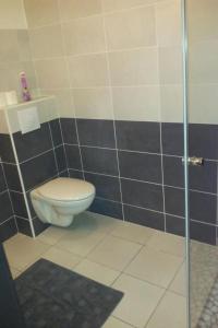 a bathroom with a toilet and a glass shower at Apartment mit Gemeinschaftspool im Diois by Interhome in Die