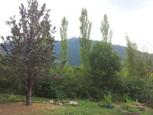 a forest of trees with a mountain in the background at Apartment mit Gemeinschaftspool im Diois by Interhome in Die