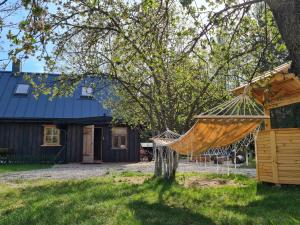 a hammock hanging from a tree in front of a house at Zdalnie z Lasu - Siedlisko w Puszczy Białowieskiej in Narewka