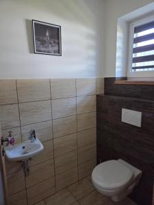 a bathroom with a toilet and a sink at Chalupa Jasanka in Červená Voda +21 photos
