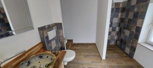 a bathroom with a toilet and a bath tub at Hirschhäusl in Großschönau +11 photos