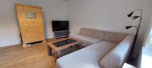 a living room with a couch and a tv at Hirschhäusl in Großschönau