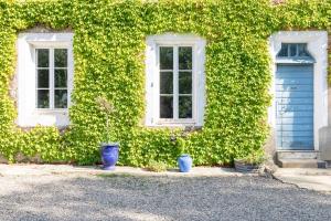 a building with two windows and two potted plants at Château Pech-Céleyran in Salles-dʼAude