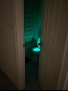 a bathroom with a toilet in a green room at Relax Guest House in Oshawa