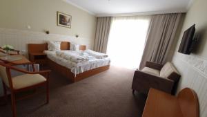 a hotel room with a bed and a window at Casa Veronica in Baile Felix