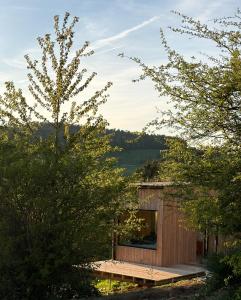 una piccola casa di legno con alberi di fronte di Stuga a Érezée