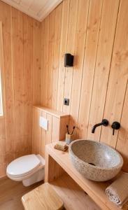 un bagno con lavandino e WC di Stuga a Érezée