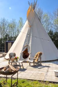 two dogs sitting on a table in front of a sail boat at Tipi Marie at Logie Marie in Kaprijke +7 photos