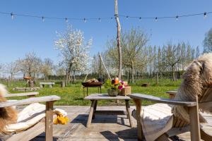 a picnic table with two dogs and a grill at Tipi Marie at Logie Marie in Kaprijke