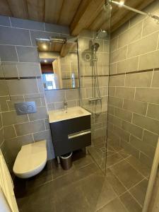 a bathroom with a toilet and a sink and a shower at Chalet Maria in Samoëns