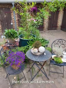 a patio with a table and chairs and plants at Neu! Fewo Fiedler I in Finsterwalde