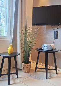 two black tables with a tv and a plant at Yllästar 3 - Cozy Stay in Magical Lapland in Äkäslompolo