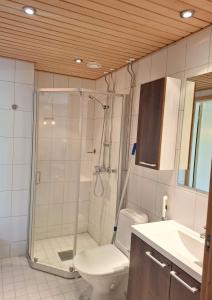a bathroom with a shower and a toilet and a sink at Yllästar 3 - Cozy Stay in Magical Lapland in Äkäslompolo +7 photos