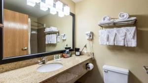 a bathroom with a sink and a toilet and a mirror at Quality Inn Killeen Near Fort Hood in Killeen +27 photos