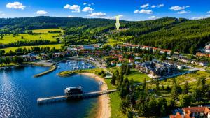 an aerial view of a small town on a river at Villa Slupečná in Lipno nad Vltavou
