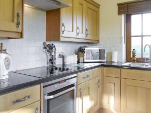 a kitchen with wooden cabinets and a stove top oven at Gwel-Y-Lyn in Mydroilin