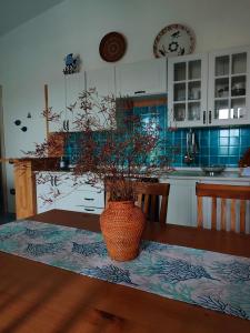 a vase sitting on a table in a kitchen at Villetta bifamiliare con vista mare "Poggio Tavolara" in Porto San Paolo +14 photos