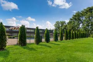a fence with a row of trees in a yard at The Cherrywood Inn in Georgetown +9 photos