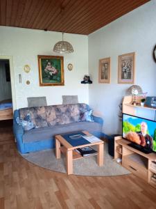 a living room with a blue couch and a tv at Ferienwohnung Sausen in Kröv