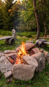a fire pit with rocks in the grass at Wierzbowy Jar- kameralny domek przy lesie w Rudawach Janowickich stworzony dla osób szukających spokoju in Janowice Wielkie