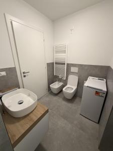 a bathroom with a sink and a toilet and a sink at Z&N Apartment in Levico Terme +16 photos