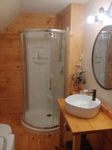 a bathroom with a shower and a sink at Le Iris in Saint-Alexis-des-Monts +25 photos