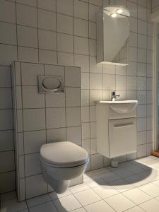 ein Badezimmer mit Toilette und Waschbecken in der Unterkunft Sommerfryd in Oslo + 28 Fotos