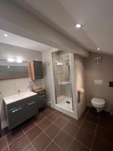 a bathroom with a shower and a sink and a toilet at Helles, großzügiges Loft mit Fernblick in Siegendorf im Burgenland +31 photos