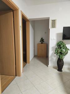 a hallway with a vase with a plant in it at Apartman Bruna in Novigrad Istria