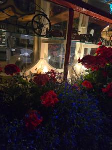 a bunch of red flowers in front of a window at The White House in Kinsale