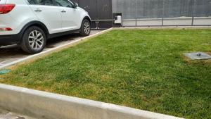 a white car parked next to a grassy yard at il Biscottino in Castel di Sangro