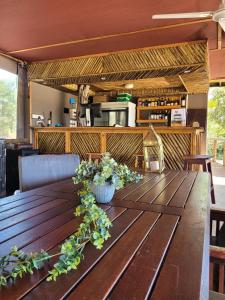 a wooden table with plants on it in a restaurant at Rustic Gate Lodge and Campsite in Maun
