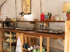 a kitchen with a counter with a stove and plates at Aparra Surfcamp Auberge Hendaye in Hendaye