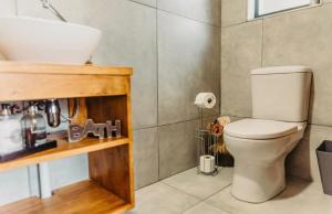 a bathroom with a toilet and a sink at Adriaan Place in Bethlehem